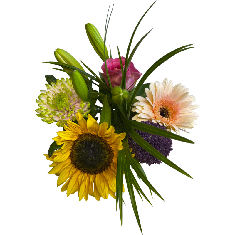 Een afbeelding van AH Zomermix large