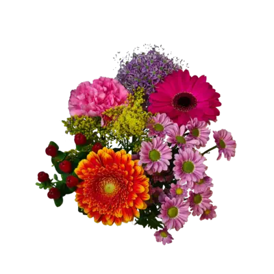 pdp-image-AH Zomermix medium