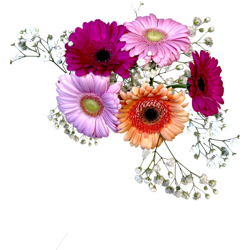 Een afbeelding van AH Gemengde bloemen germini