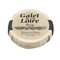 Galet de la Loire
