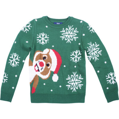 pdp-image-Blue Kerst trui gebreid 122/128