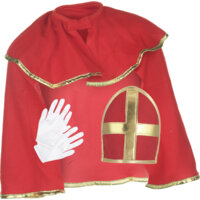 Een afbeelding van AH Sintpak