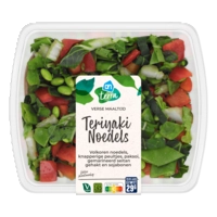 AH Terra Verse maaltijd teriyaki noedels
