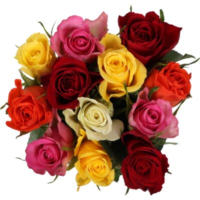 pdp-image-AH Rozen gemengd