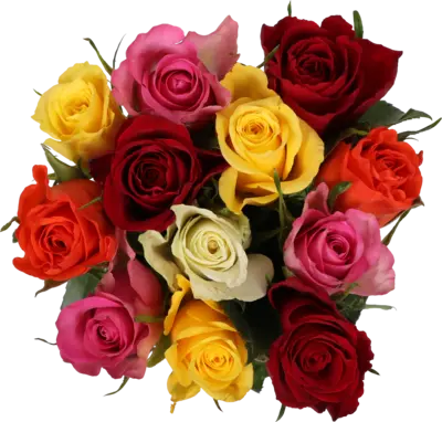 pdp-image-AH Rozen gemengd
