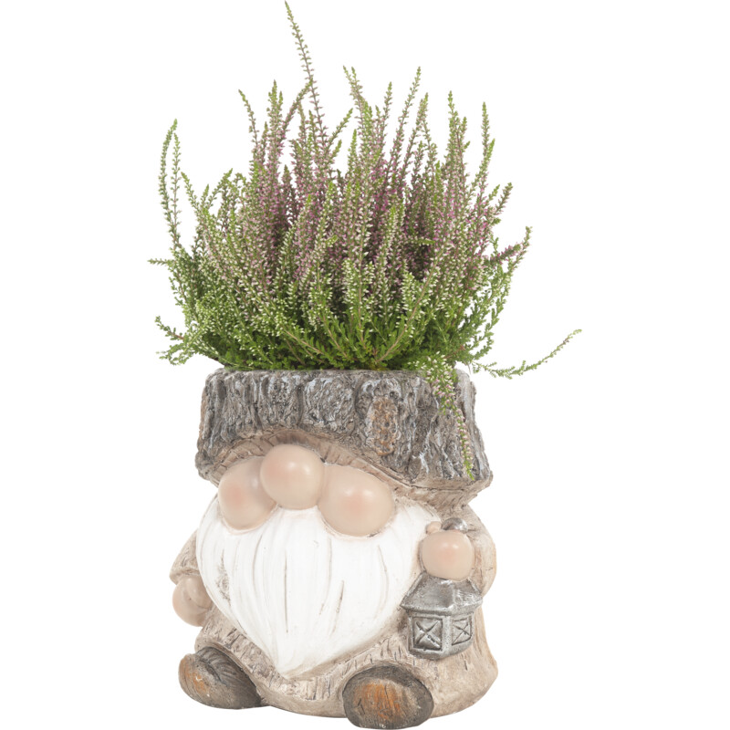 Een afbeelding van AH Heide in kabouterpot