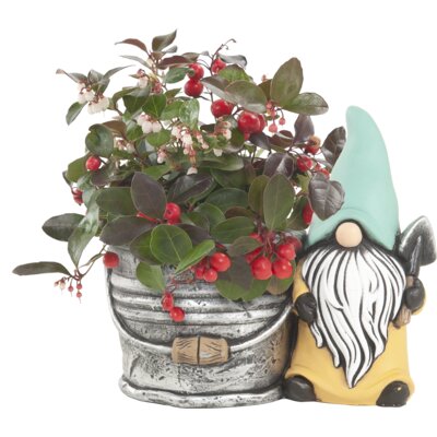 pdp-image-AH Keramiek emmer met kabouter