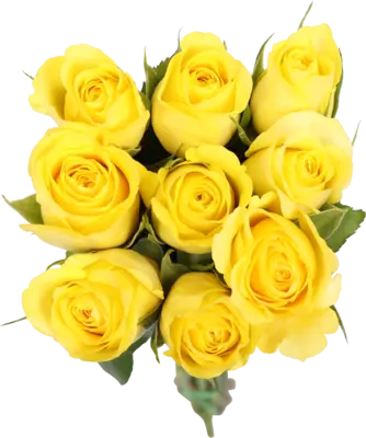 pdp-image-AH Rozen