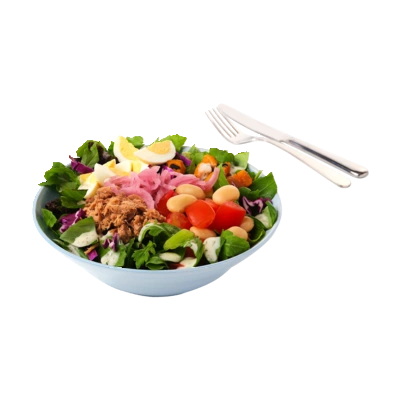 pdp-image-AH Saladbowl tonijn