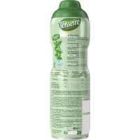 Een afbeelding van Teisseire Groene munt siroop bel