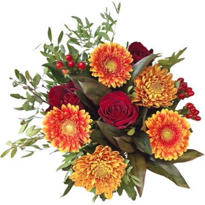 pdp-image-AH Herfstchrysant