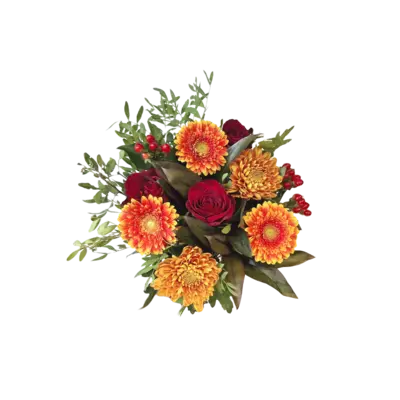 pdp-image-AH Herfstchrysant