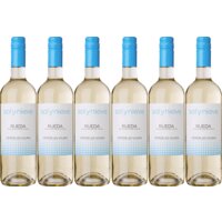 Een afbeelding van Sol y Nieve Rueda verdejo-viura 6 flessen