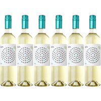 Een afbeelding van Mesta Verdejo organic wine 6 flessen