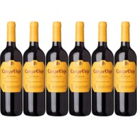 Campo Viejo Rioja tempranillo 6-pack bestellen | Albert Heijn