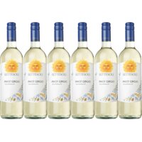 Een afbeelding van Settesoli Pinot grigio 6 flessen