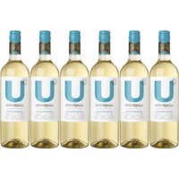 Een afbeelding van Undurraga Sauvignon blanc 6 flessen