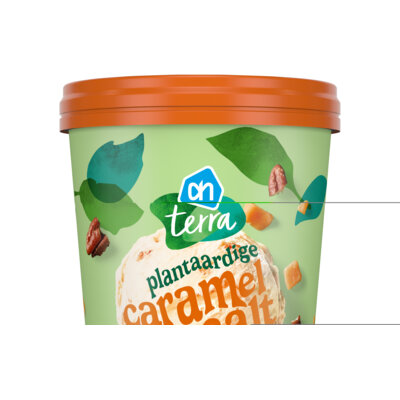 Plantaardige caramel seasalt ijs - 5769