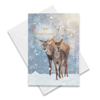 pdp-image-Hallmark Hangpakje kerstkaarten