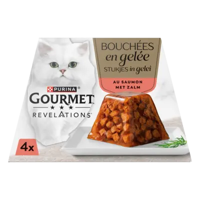 pdp-image-Gourmet Revelations stukjes in gelei met zalm
