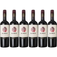 Een afbeelding van Aliwen Cabernet sauvignon reserva 6 flessen