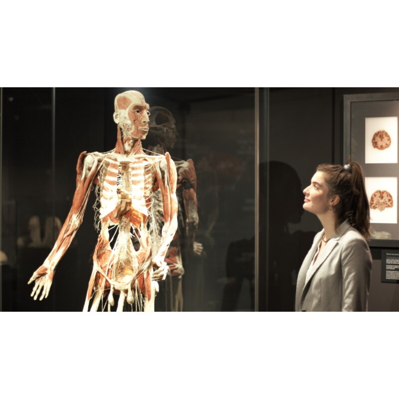Een afbeelding van Bodyworlds entrée
