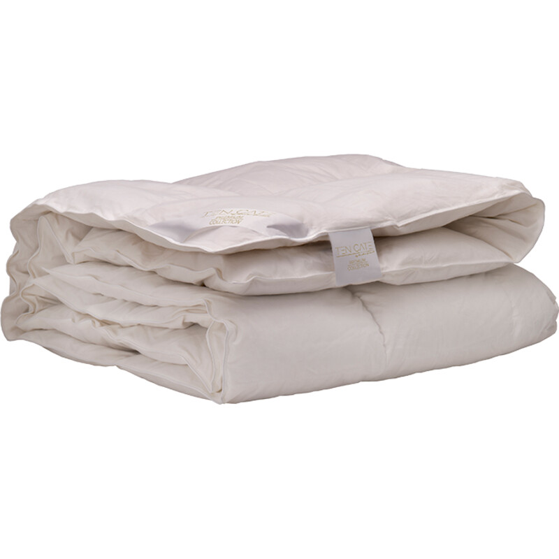 Een afbeelding van Ten Cate Dekbed all-year dons 15/85 200x200