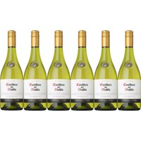 Casillero del Diablo Chardonnay reserva 6 flessen