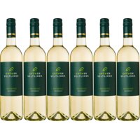 Een afbeelding van Grüner Veltliner borrelwijn 6 flessen