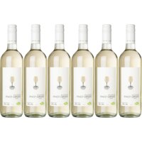 AH Biologisch Pinot grigio 6-pack bestellen | Albert Heijn