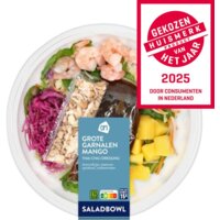 Afbeelding van Saladbowl grote garnalen mango