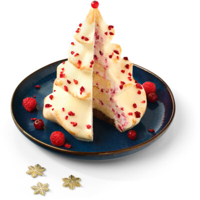 pdp-image-AH Excellent Spectaculaire kerstboom taart
