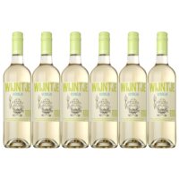 Een afbeelding van Wijntje Verdejo bio 6 flessen