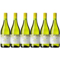 Een afbeelding van Terra viva Bio prosecco doc 6 flessen