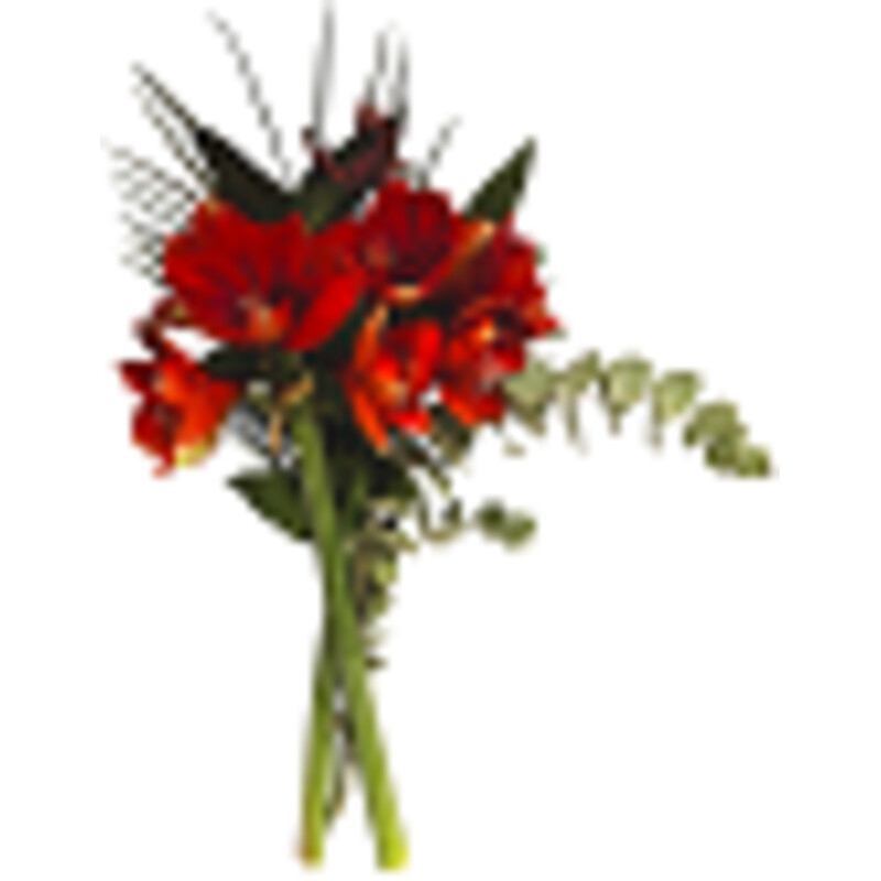 Een afbeelding van AH Amaryllis met groen