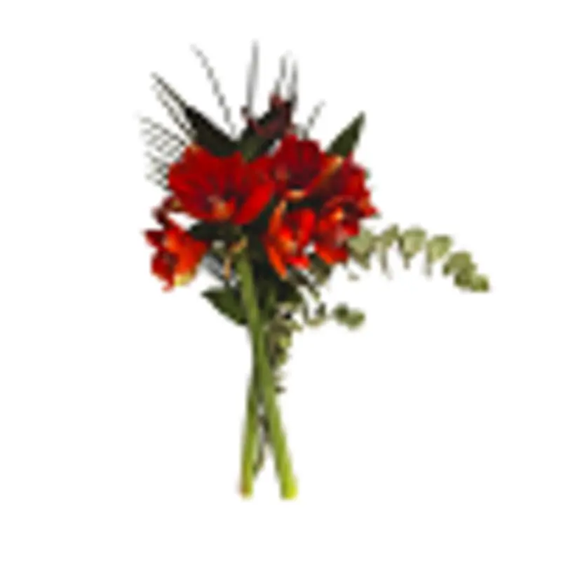 Amaryllis met groen