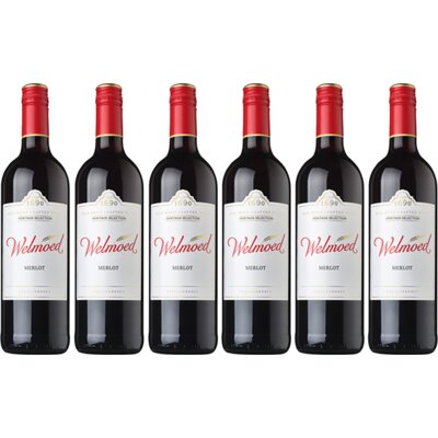 pdp-image-Welmoed Merlot 6 flessen