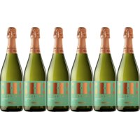 Een afbeelding van Hola! Barcelona organic brut cava 6 flessen
