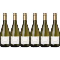 Een afbeelding van Sarmentino Frizzante 6 flessen