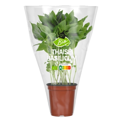 pdp-image-AH Biologisch Thaise basilicum