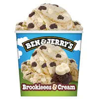 Ben & Jerry's Brookieees and cream