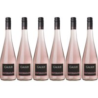 Galilei Frizzante watermelon 6 stuks