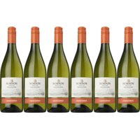 Een afbeelding van Norton Colección chardonnay 6 flessen