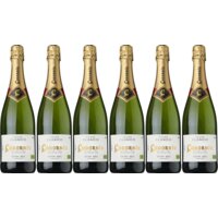 Een afbeelding van Codorníu Clasico semi sec organic 6 flessen