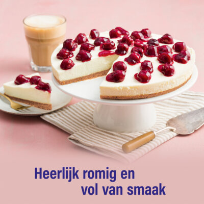 pdp-image-Dr. Oetker Monchou taart naturel bakmix