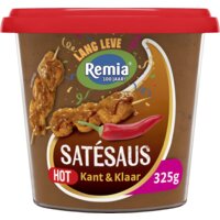 Remia Satésaus hot kant en klaar