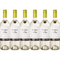 Een afbeelding van Casillero del Diablo blanc reserva 6 flessen