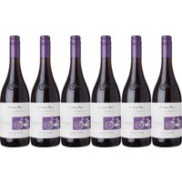 Een afbeelding van Cono Sur Bicicleta pinot noir 6 flessen