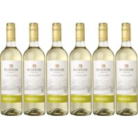 Een afbeelding van Norton Colección torrontés 6 flessen