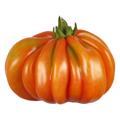 pdp-image-AH Coeur de boeuf tomaten